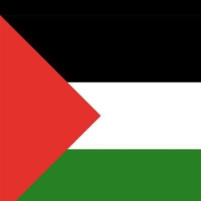 elrando74's profile picture. Husband, dad of two, Celtic Fan 🇮🇪🍀#notmyking