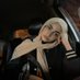 Nour (@ambigiousscene) Twitter profile photo