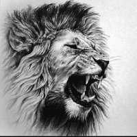 Mohammad Nasir (@nasir_presido) 's Twitter Profile Photo Mohammad Nasir (@nasir_presido) 's Twitter Profile Photo