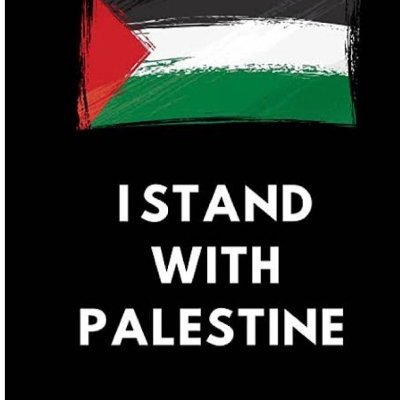 Q!Kay🇧🇷 #ASRPG #Free🇵🇸 (@Kayyzin01) / X