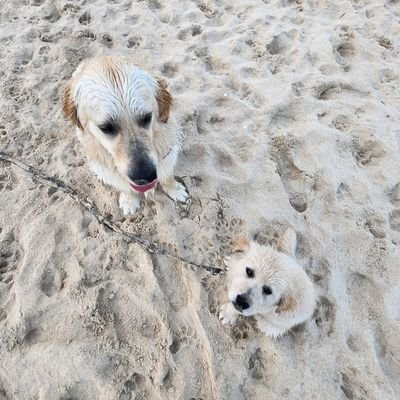 HuyTrinhDo1's profile picture. 