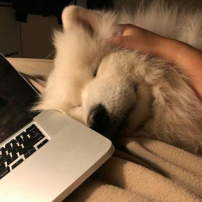 pj_proj's profile picture. '27 sr28 (lateral) - gl28

member of MUN, Volant, Team Bio, SC Staff

I repost wolf contenxt, they make me happy

ENTJ (study cognitive functions)