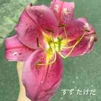 ruijuannhoong's profile picture. 03
dwcla