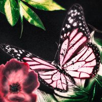 Alisa (@anddietheeditor) 's Twitter Profile