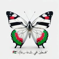 فَراشة 🦋(@faracha333) 's Twitter Profile Photo