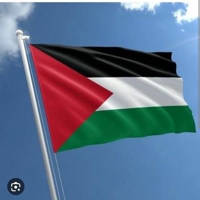 Proud Muslim! Allahuakbar ❤️ 
pro.palestine 🇵🇸