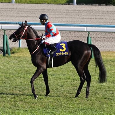 競馬🐴、競艇🛥️観戦したり写真撮りに旦那と二人で行ってます😆騎手は福永さん殿堂、ミルコ、柴田大知君、三浦皇成、競艇選手は金子拓矢、峰竜太さん応援してます🎵JUJU、AAA、B'z、Da-iCE🎧️🎶、ディズニー好き。仕事...前は老健で、今はディサービスで介護士してます。介護従事者です。