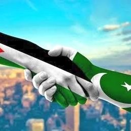 Pti61847403's profile picture. 