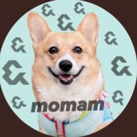 momam もっちゃん☾ ¹⁹(@k_momam117) 's Twitter Profile Photo