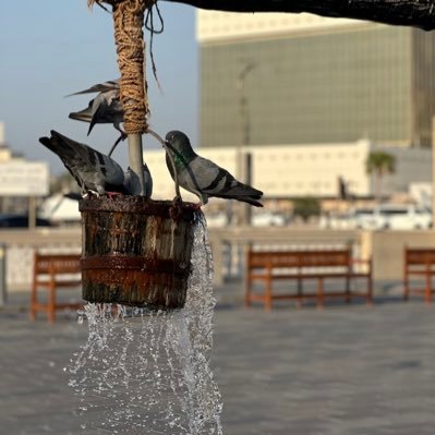 wasimkamboo's profile picture. 