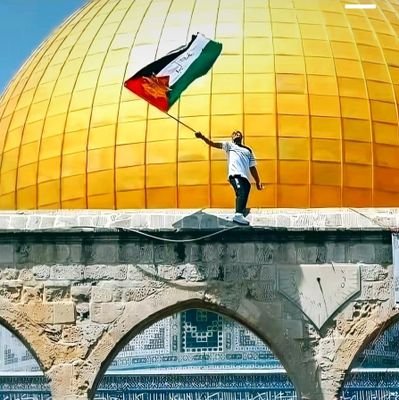 MEastIndex's profile picture. Free Palestine 🇵🇸❤️