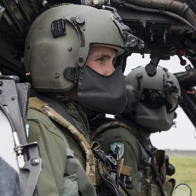 megan_netware's profile picture. 