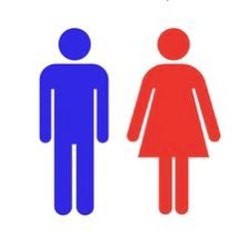 dskbibr_17love's profile picture. 脳内ダダ漏れアカウント🧠 腐メインとたまに夢おぢ。下ネタ注意。同士となんでも許せる方のみ… その他詳細ツイフィへ👇🏻