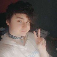 softsammy.dog.com (@samsosoft) 's Twitter Profile