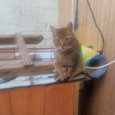 brianval25's profile picture. 