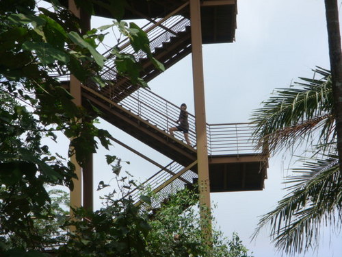 xiaoxiaodarling's profile picture. Simple, Cute