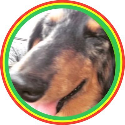 はじめまして。シュウイチです♪ツイッタでの新しい繋がりも何かの縁どうぞ宜しく♪フォローお気軽に♪音楽が大好き♬お笑い♪オードリー、ダイノジ、アルピー、マヂラブ、押し。ANNのヘビーリスナー。fishbowl佐佐木一心推し!。あぴゅーず好き!the collectors大好き。玉置浩二。藤井フミヤ。元ゲーセンマン。