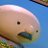 cisek12347's profile image