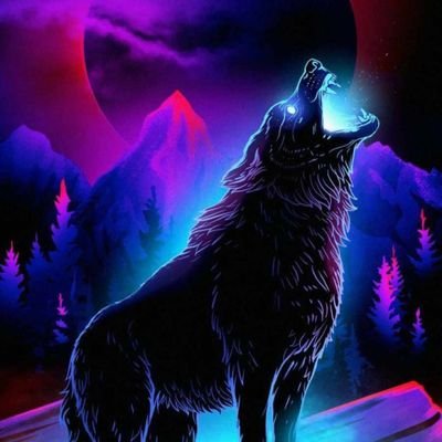graybaskets09's profile picture. 