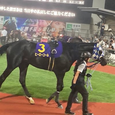 pontig0's profile picture. 気軽にフォローお願いします！