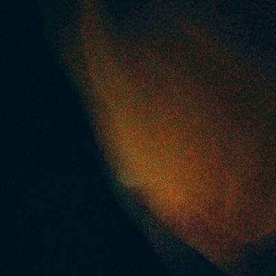 Jayden_harit's profile picture. 