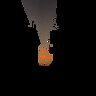 1dkbutitsokayy's profile picture. 