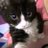 黑猫🥪さんのプロフィール画像