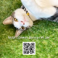 NYA_AGO🐈保護猫シェアハウス入居者募集中❤️ (@nya_ago285) Twitter profile photo