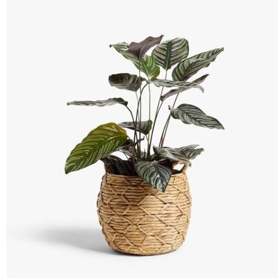 Vietnam sourcing. Manufacturer and Exporter Handicrafts. Seagrass, Water hyacinth materials