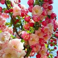ابتهال (@ebthalalmusrati) 's Twitter Profile