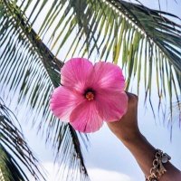 🌸 (@axlli012) 's Twitter Profile