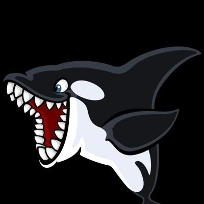 orca920 Profile Picture