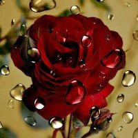 عمار الشهراني (@a3ma0r) 's Twitter Profile
