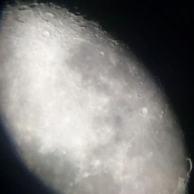 VeredSilverman's profile picture. 
