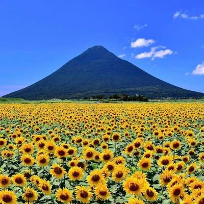 THEINTRO_KID's profile picture. 