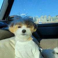 jane (@affinityeol) 's Twitter Profile