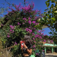 KUCH KUCH HOTA HAI ANJALI (@kyuuanjali) 's Twitter Profile