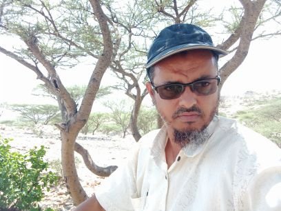 حافظ احمد Profile