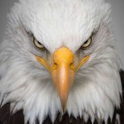 God ~ Family ~ Country - in that order
✝️💖🇺🇲
TRUMP 2024