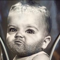 Independent NY’er (@wdsny5) 's Twitter Profile