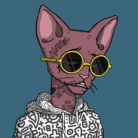 ً (@bwoppleton) 's Twitter Profile