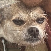 Zach (@zach_evan_) 's Twitter Profile Photo Zach (@zach_evan_) 's Twitter Profile Photo