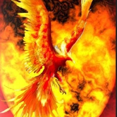 Fenix_XY Profile Picture