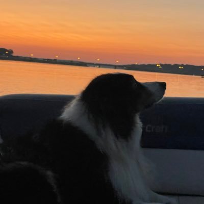 sharprazor72's profile picture. 