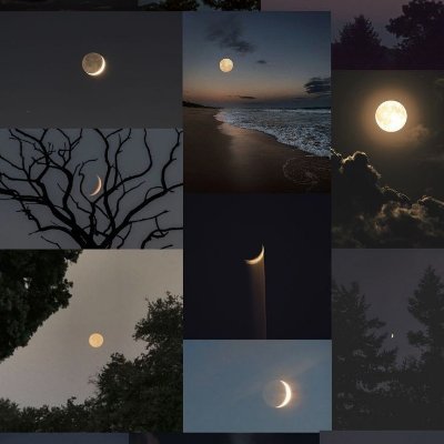 Oliver1397222's profile picture. alxn