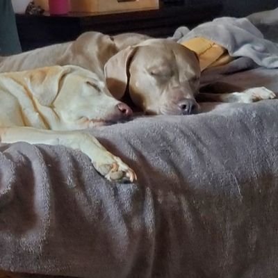 AaronlCrisp's profile picture. 