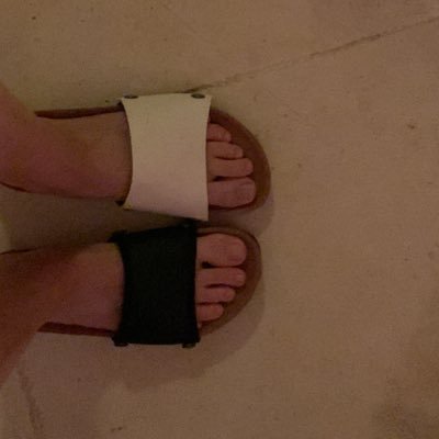 DanielleHeiblum's profile picture. 