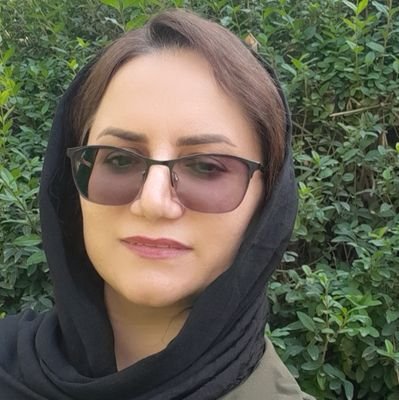 نویسنده، محقق، عضو اندیشکده‌ی فراگرایان ایران