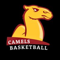 Atkins Camels MBB(@AtkinsCamelsMBB) 's Twitter Profile Photo