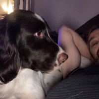 Steve the Spring Maker #FBPE 🇺🇦 (@daviessteven68) 's Twitter Profile